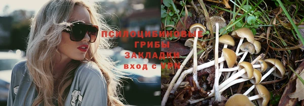 амф Горнозаводск