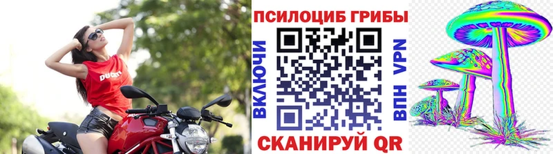 Псилоцибиновые грибы ЛСД Сосновоборск