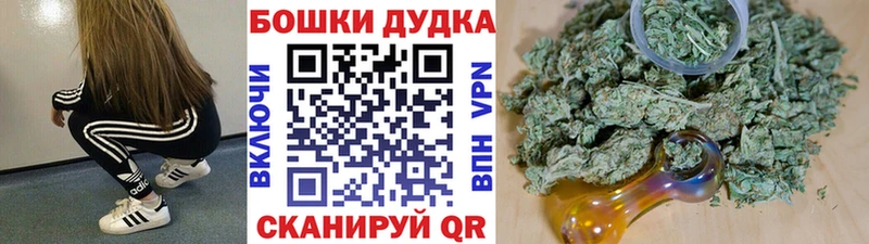 Каннабис индика  Купить закладки  Сосновоборск 